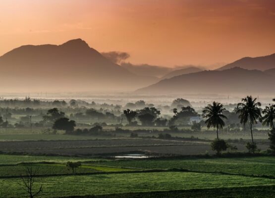 remi-clinton-E5egsk4eUQ0-unsplash export india