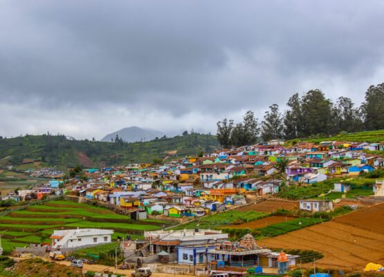 sreehari-devadas-wzdhKTE34mk-unsplash sreehari-devadas-wzdhKTE34mk-unsplash