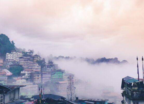 aditya-deshmukh-N-jV3iThpb0-unsplash aditya-deshmukh-N-jV3iThpb0-unsplash