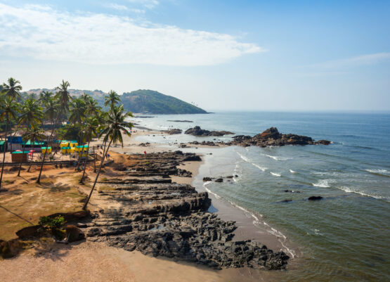 Beach in Goa, India Vagator or Ozran beach aerial panoramic view in north Goa, India