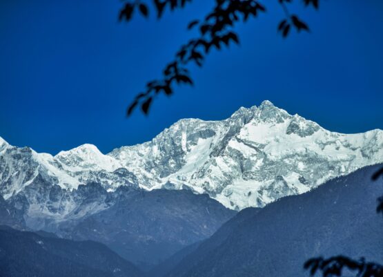 labun-hang-limboo-ZF6zxtpr5t8-unsplash labun-hang-limboo-ZF6zxtpr5t8-unsplash