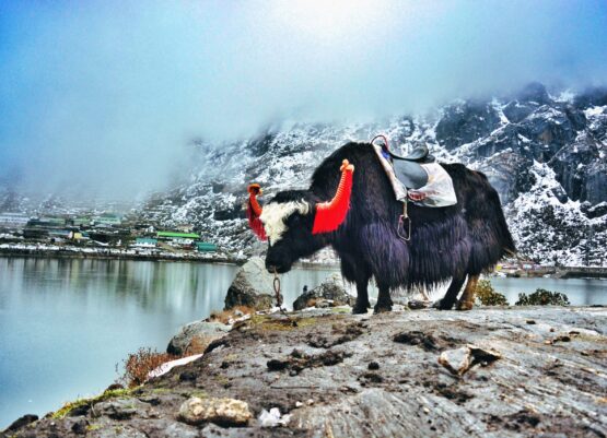 tsomgo-lake-sikkim-india-2021-09-04-06-40-06-utc tsomgo-lake-sikkim-india-2021-09-04-06-40-06-utc